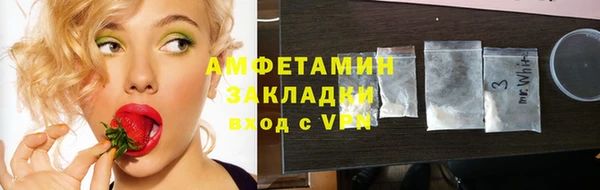 прущие грибы Переславль-Залесский