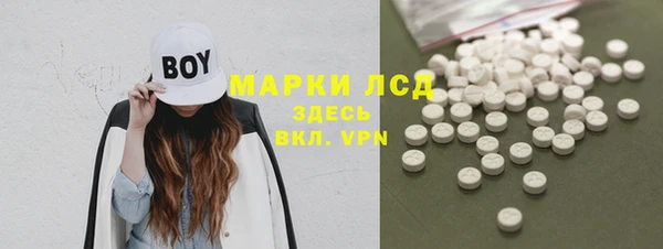 прущие грибы Переславль-Залесский