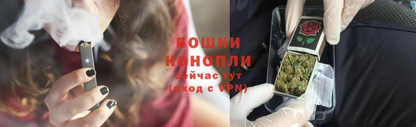 прущие грибы Переславль-Залесский