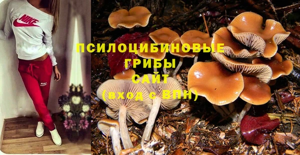 прущие грибы Переславль-Залесский