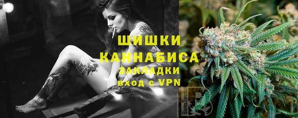 прущие грибы Переславль-Залесский