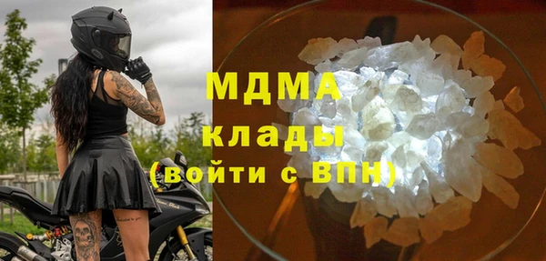прущие грибы Переславль-Залесский