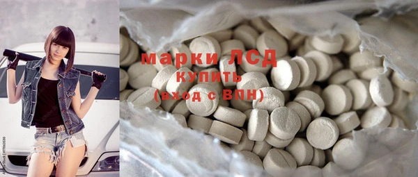 прущие грибы Переславль-Залесский