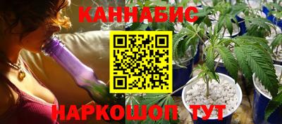 хмурый Кингисепп