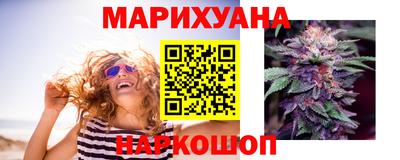 хмурый Кингисепп