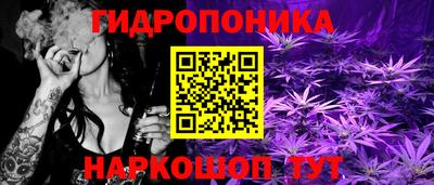 хмурый Кингисепп
