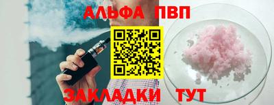 хмурый Кингисепп