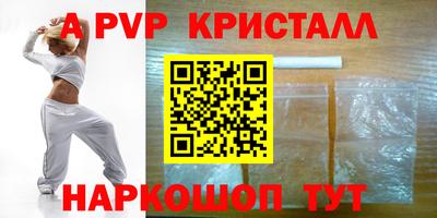 хмурый Кингисепп