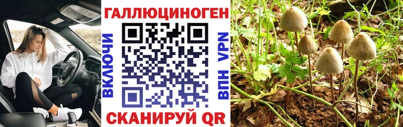 где можно купить наркотик  mega ссылка  Галлюциногенные грибы ЛСД  Искитим 