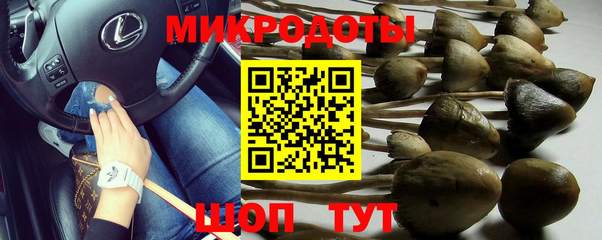 Галлюциногенные грибы Psilocybe  Вход с VPN  Искитим  Галлюциногенные грибы Psilocybe 