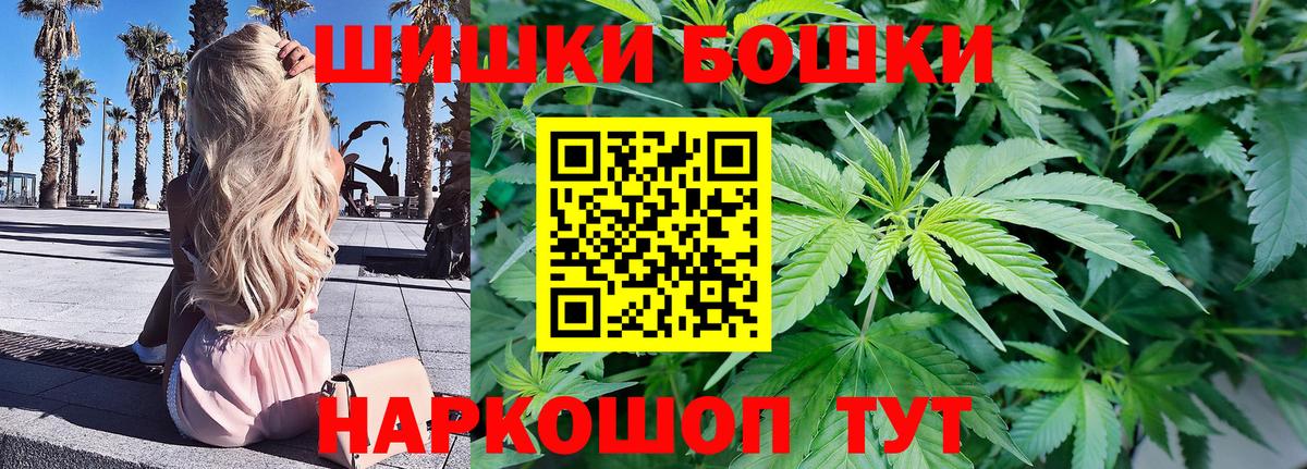 Конопля индика  Конопля OG Kush  Искитим  Каннабис Bruce Banner 